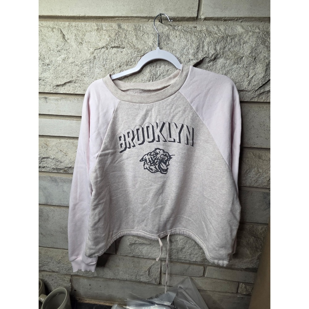 American Eagle Womens Brooklyn Tiger Graphic Raglan‎ Sweatshirt Pink Oatmeal S